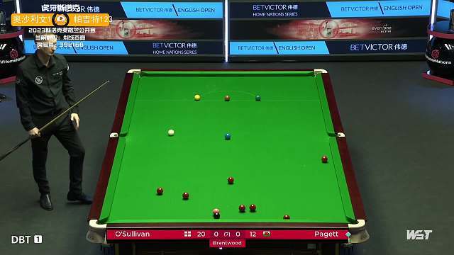 难免会引发 难免会引发